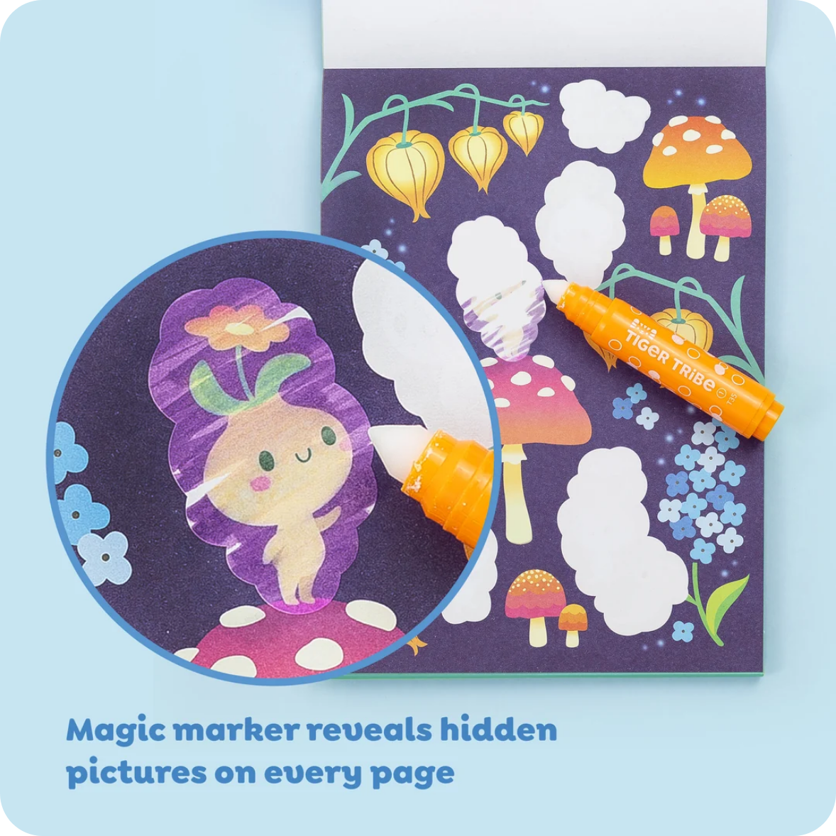 Color Surprise - Fairy Magic