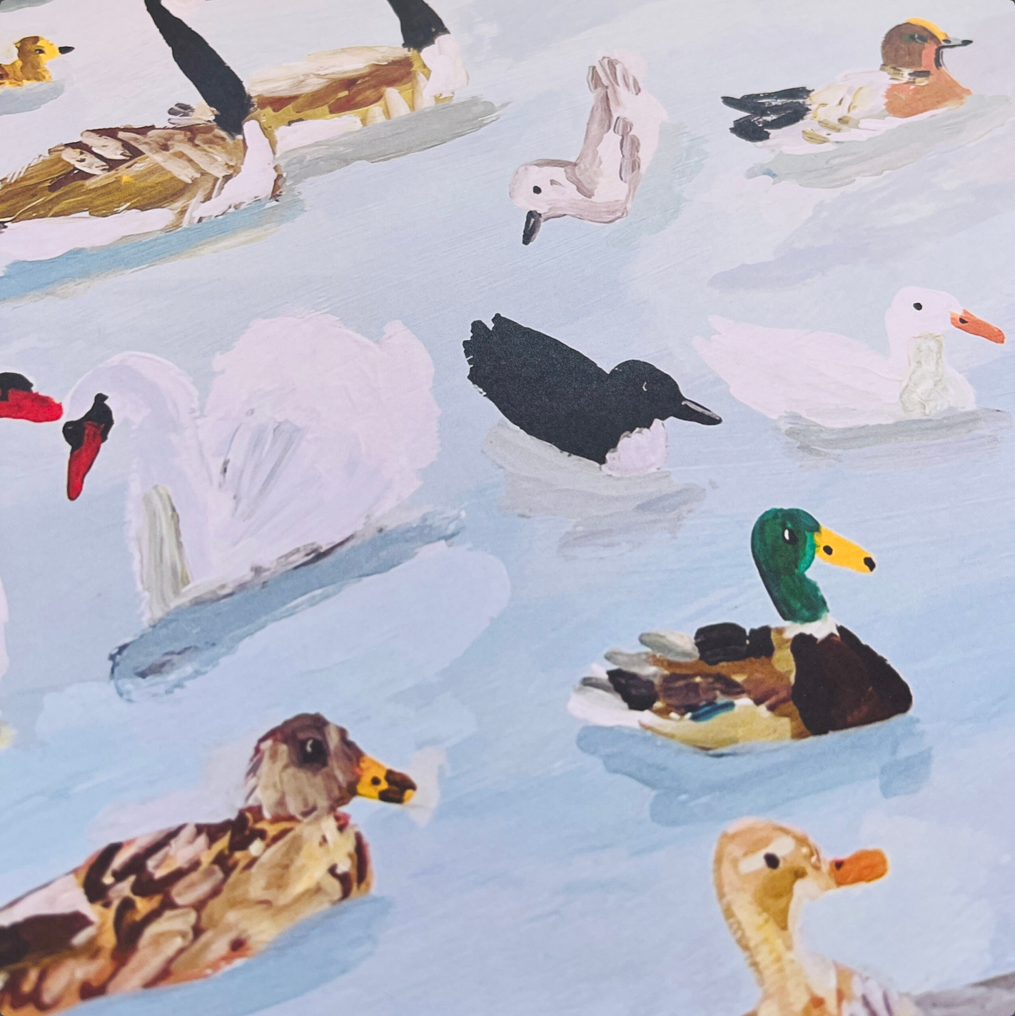 DUCK POND GIFT wrapping paper -single sheet