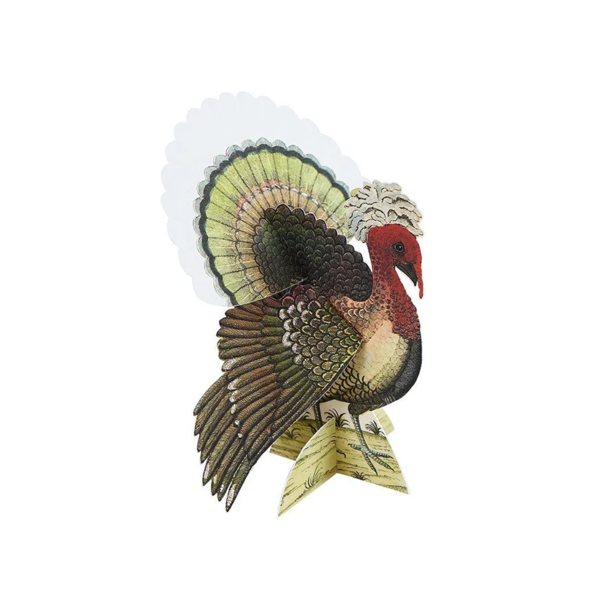 A vintage-style illustrated turkey with a fanned tail, shown on a plain white background.