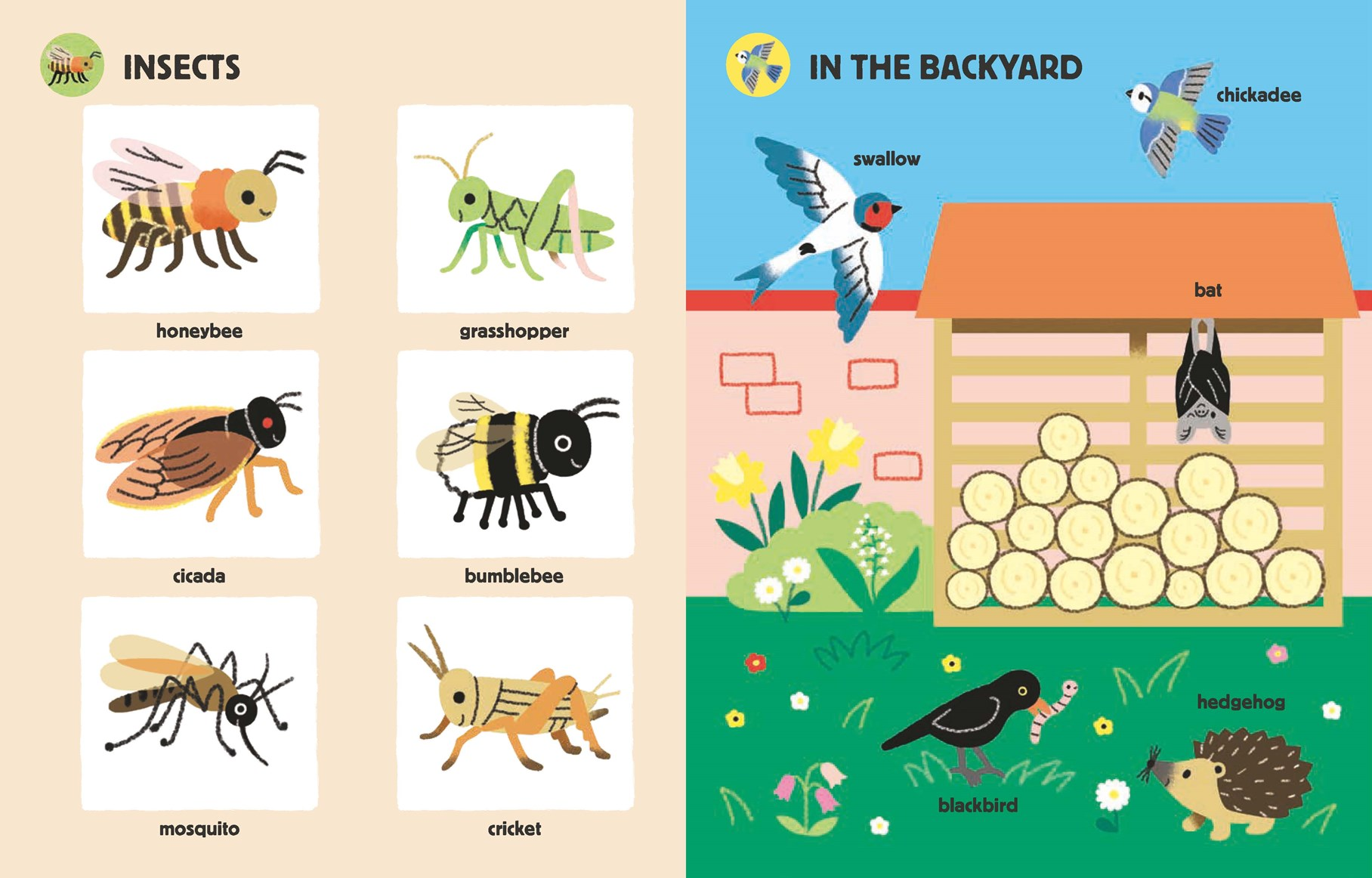 Children's book with illustrations of insects and animals in a backyard setting.
