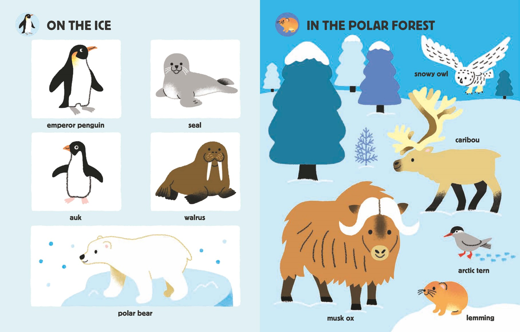 Educational poster showing polar animals and landscape