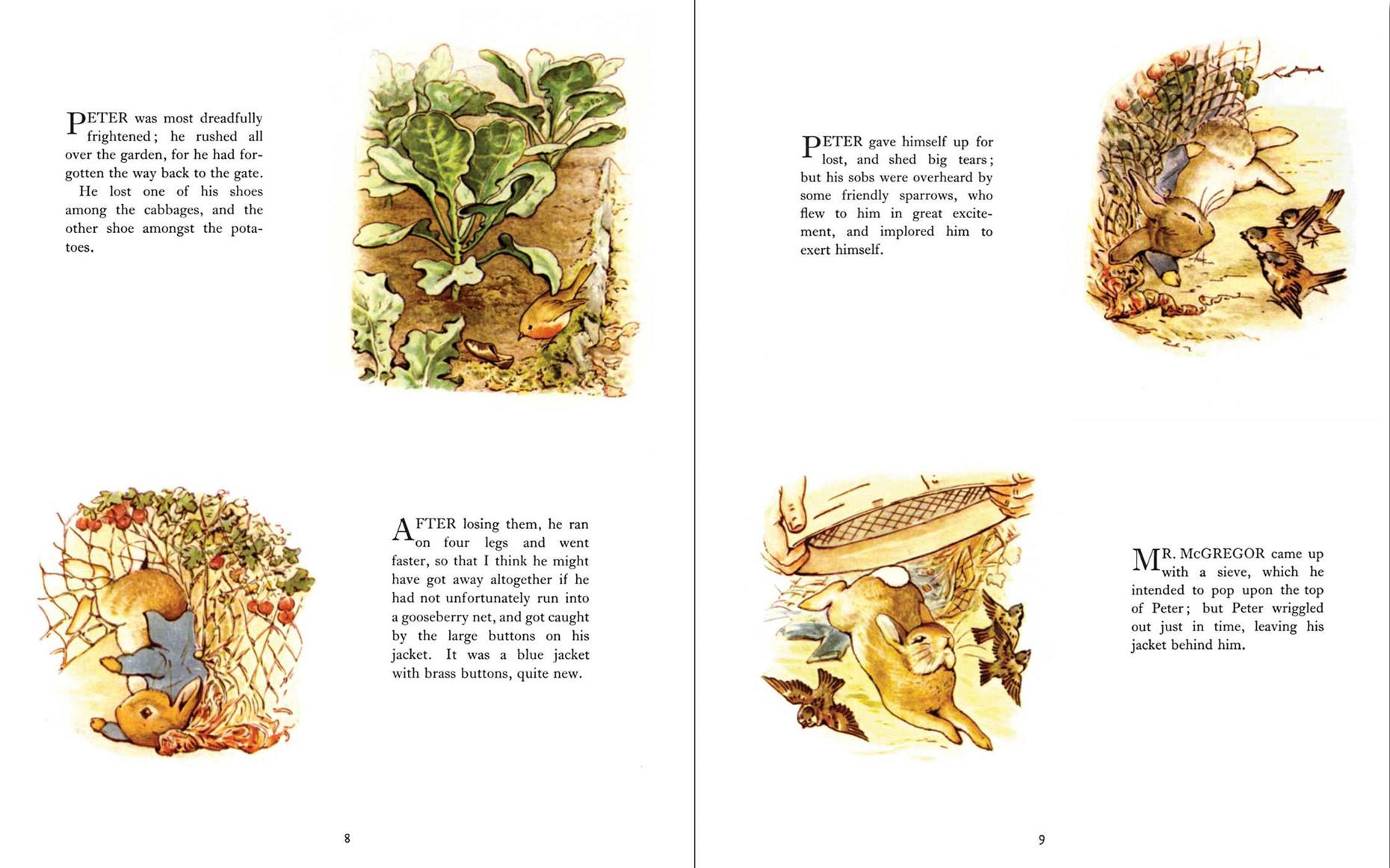 A two-page spread from a children's book featuring illustrated scenes from Peter Rabbit's garden and adventures. The left page shows rabbit-shaped vegetables in the garden, a rabbit near a fish, and text about Peter.