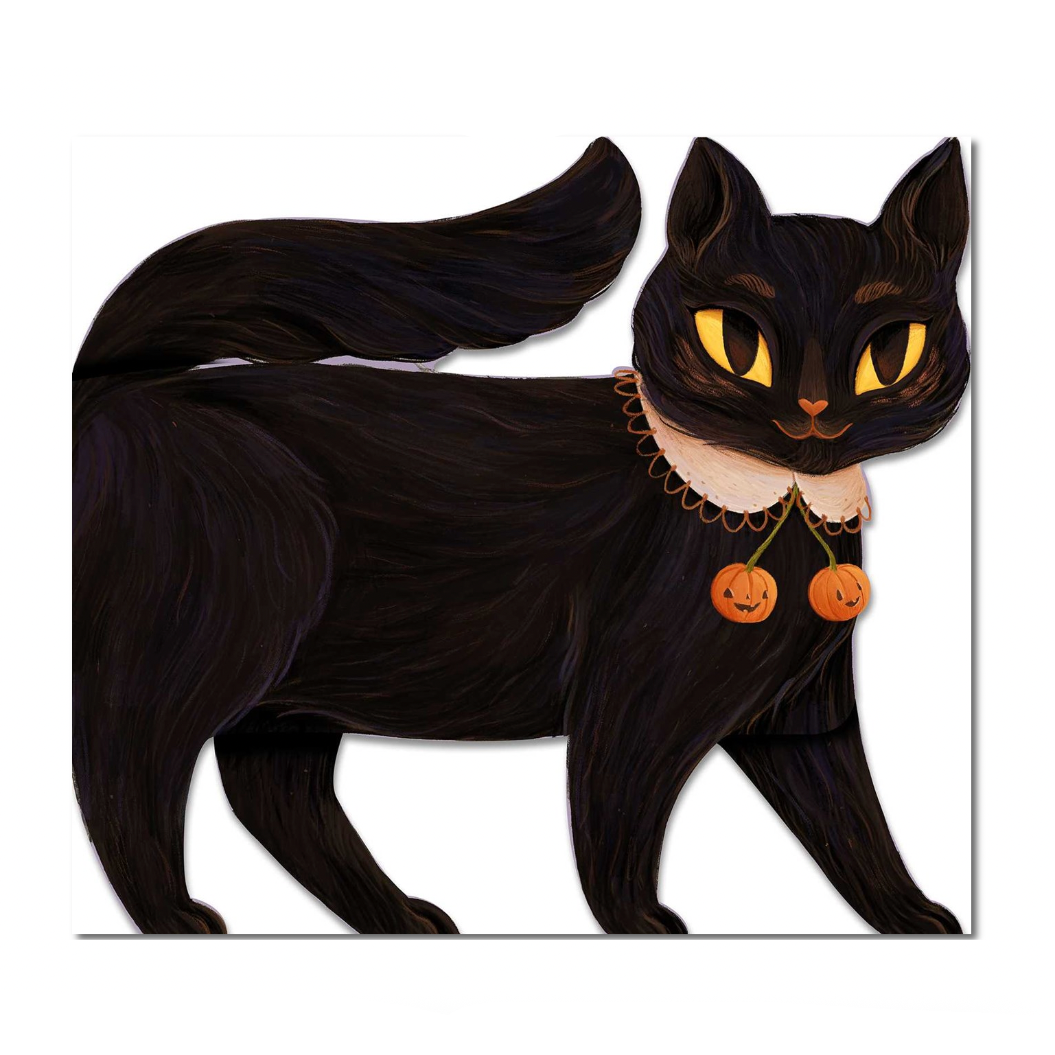 One Black Cat