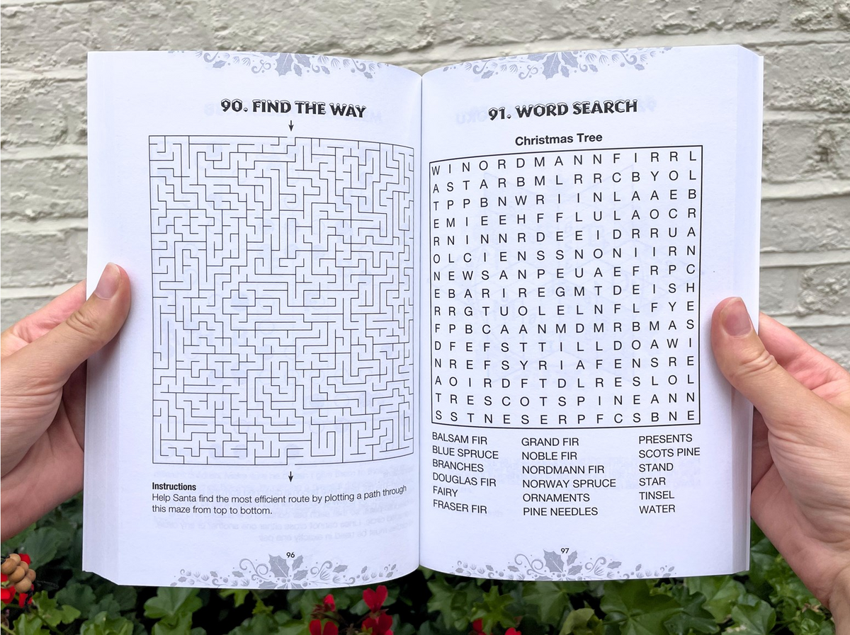 The Christmas Puzzle Book