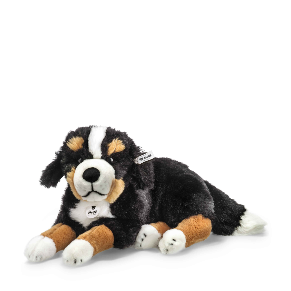 A Bernese Mountain Dog plush toy lying down, featuring black, white, and tan fur with a small white tag on its neck, photographed on a clean white background.