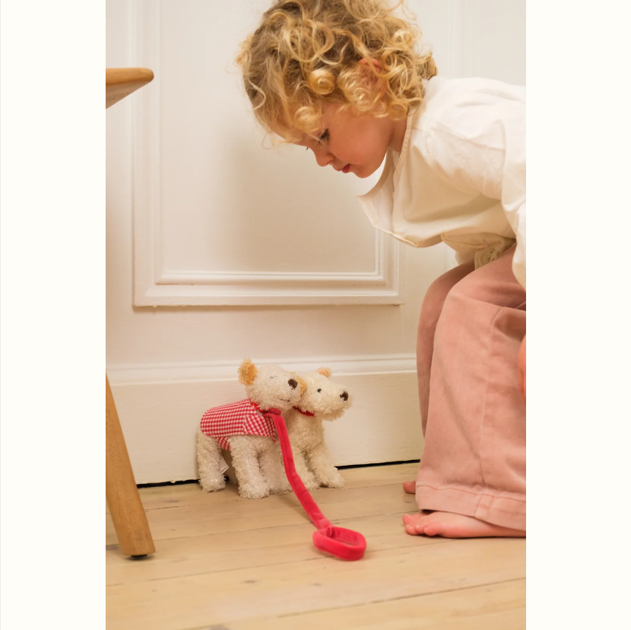 Mini Eliot with leash and coat