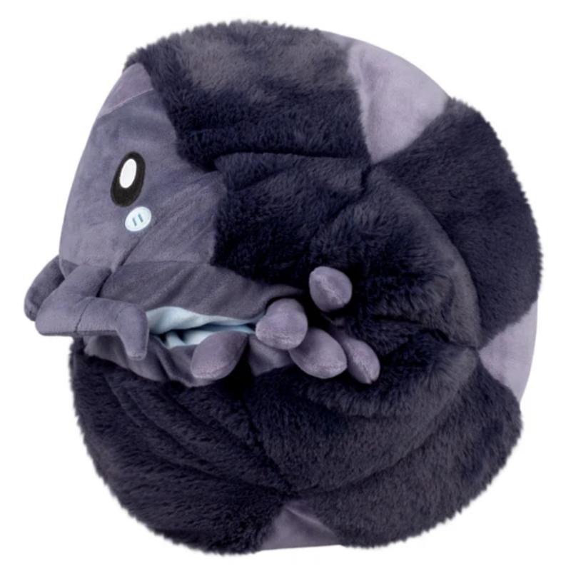 Pillbug Rollie Pollie