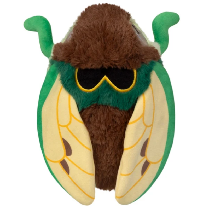 Snacker Cicada