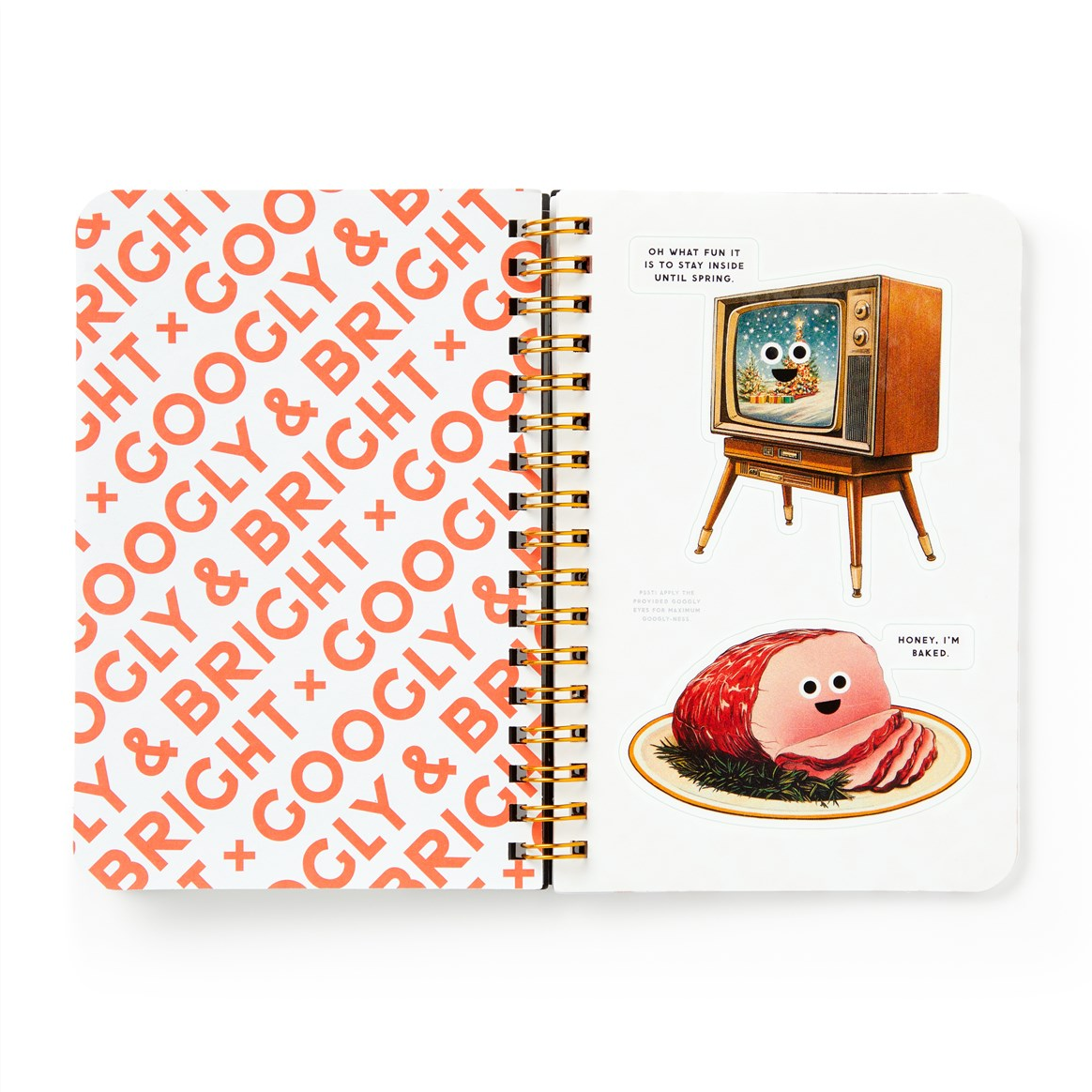 Googly & Bright Sticker book