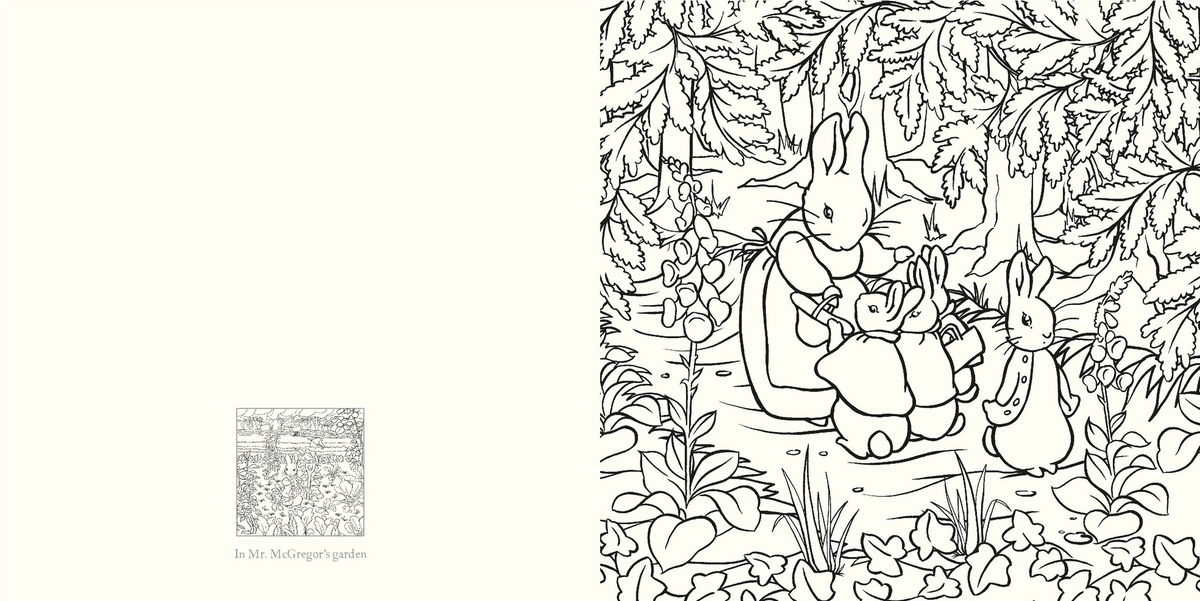The Beatrix Potter Coloring Book