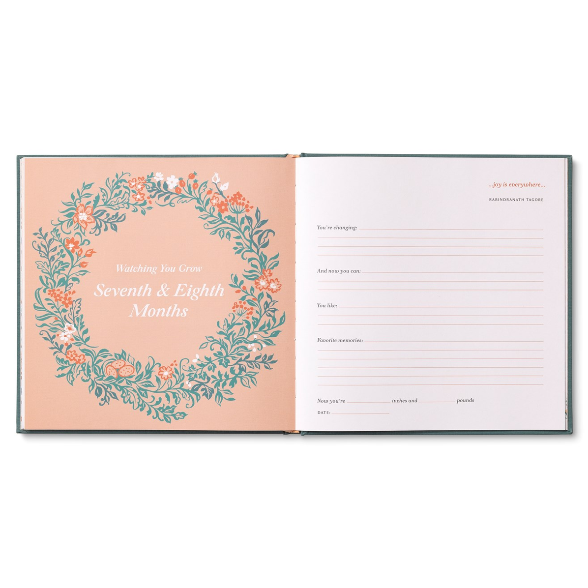 Welcome, Baby: A Keepsake Book of Memories & Milestones