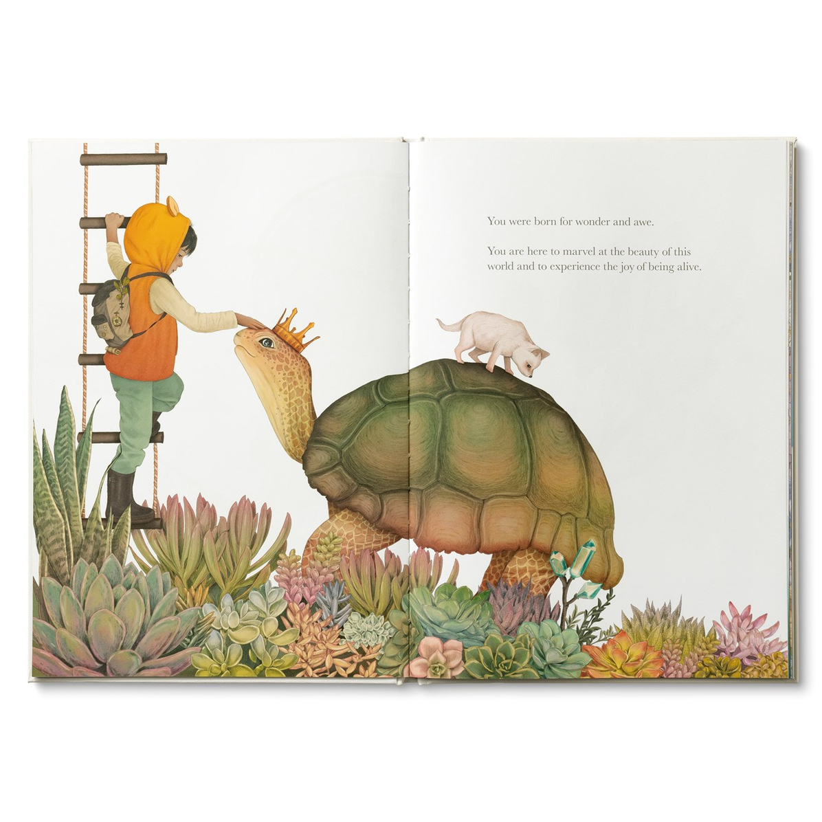 Penguin Random House Cover for Why Not?: A Story about Discovering Our Bright Possibilities