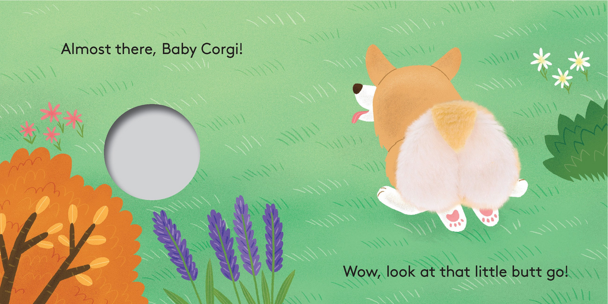 Baby Corgi Butt: Little Finger Puppet Book