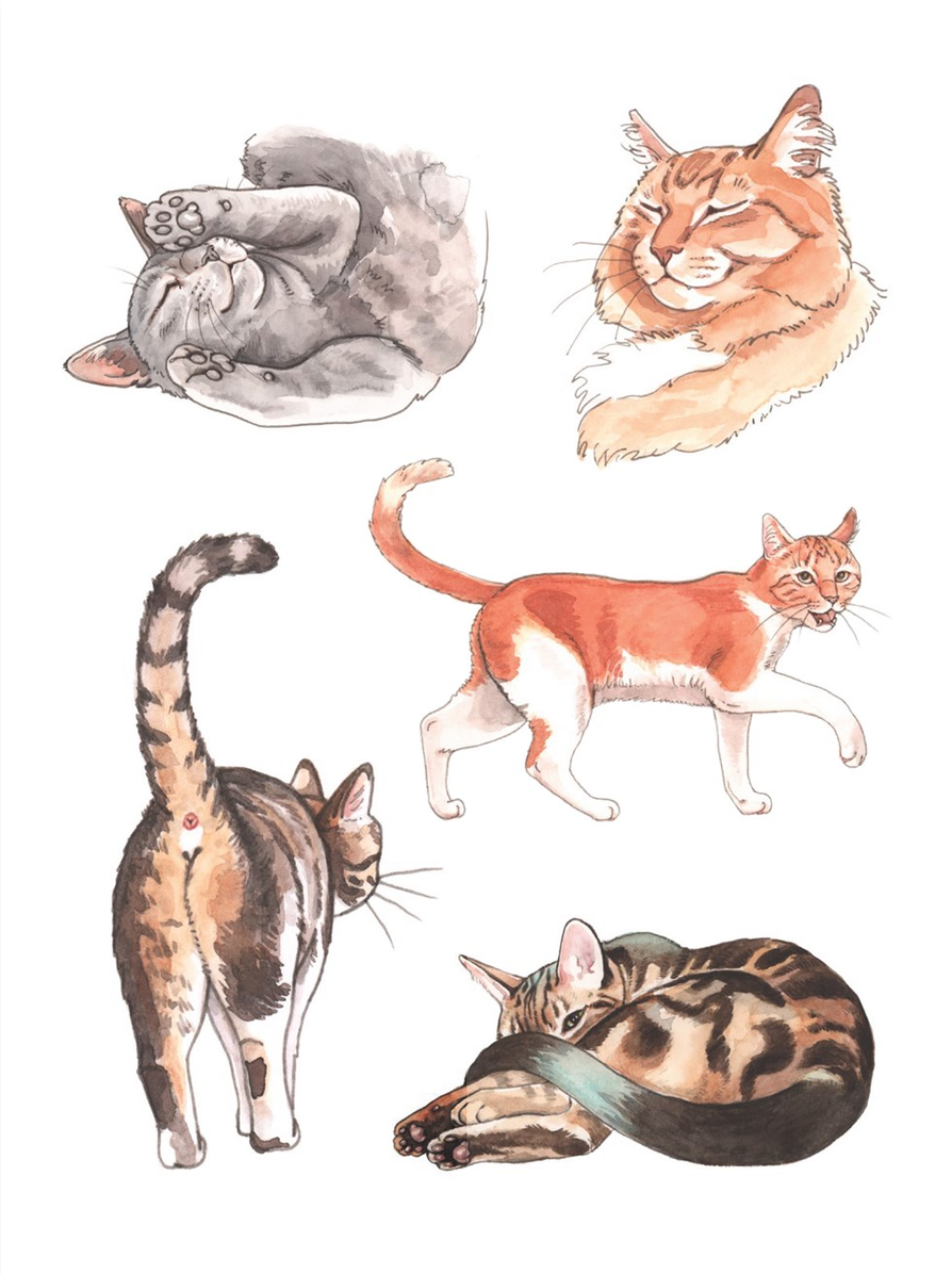 The Cat's Meow Sticker Book: 100+ Stickers