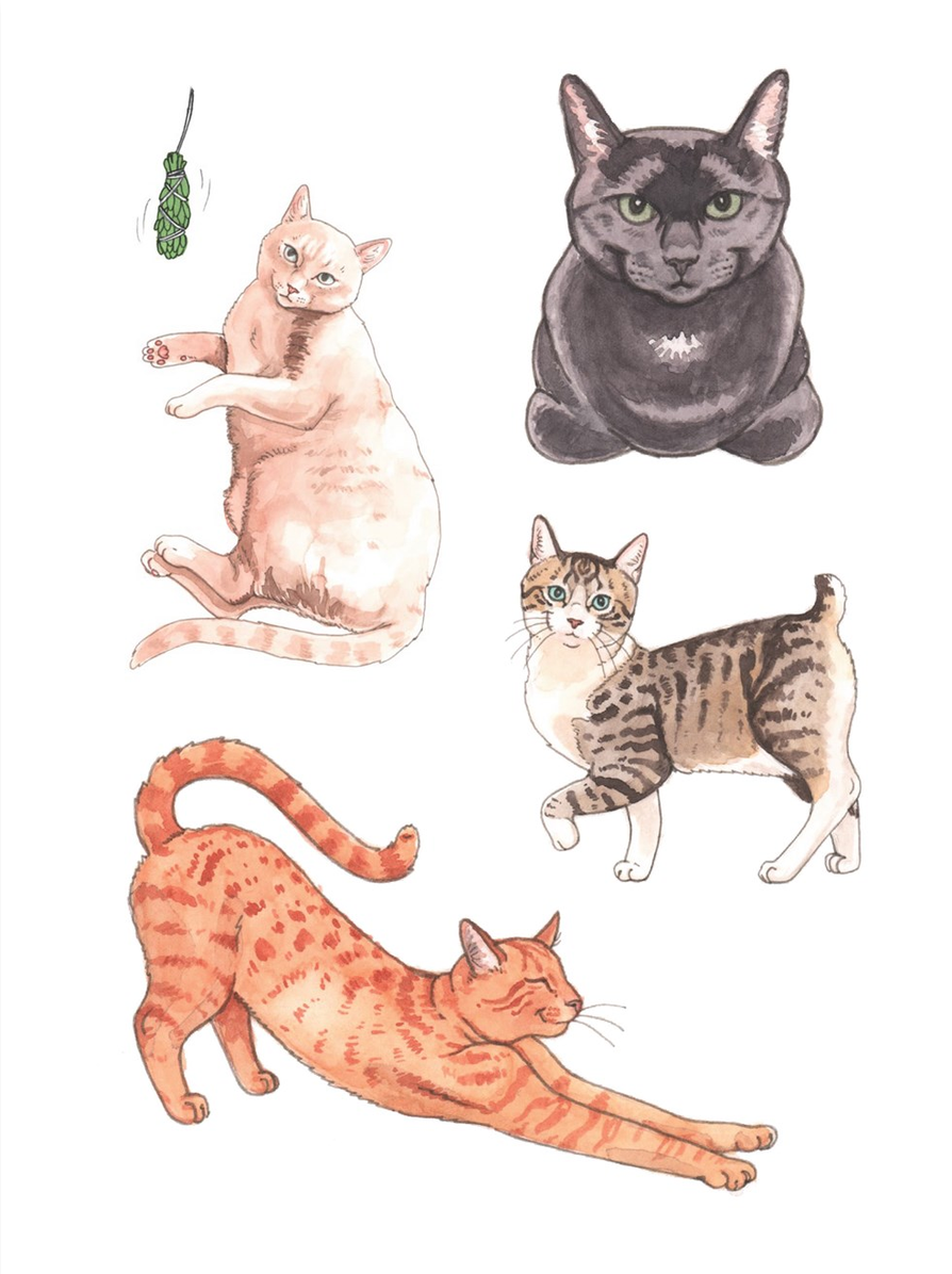 The Cat's Meow Sticker Book: 100+ Stickers
