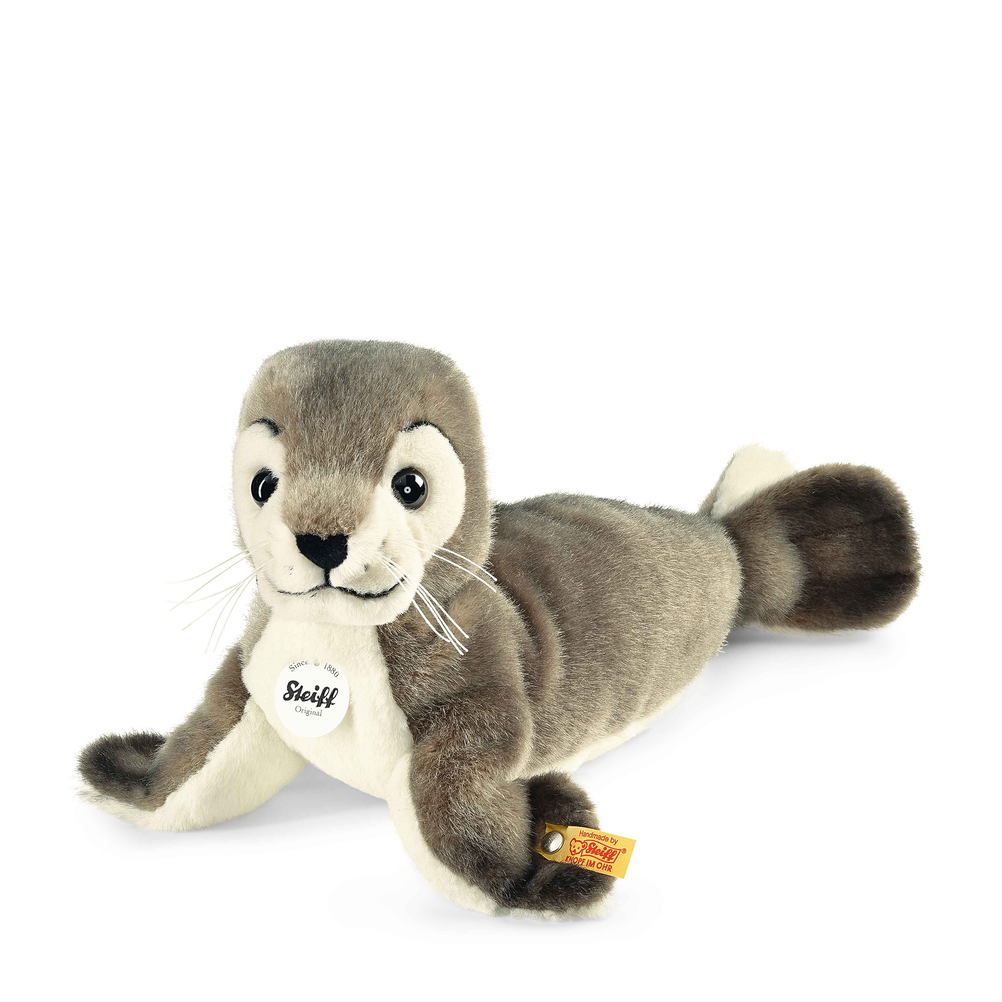 Robby Seal