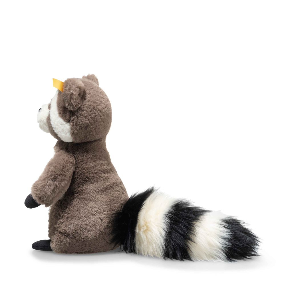 Pedro Racoon