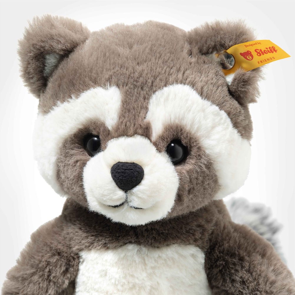 Pedro Racoon