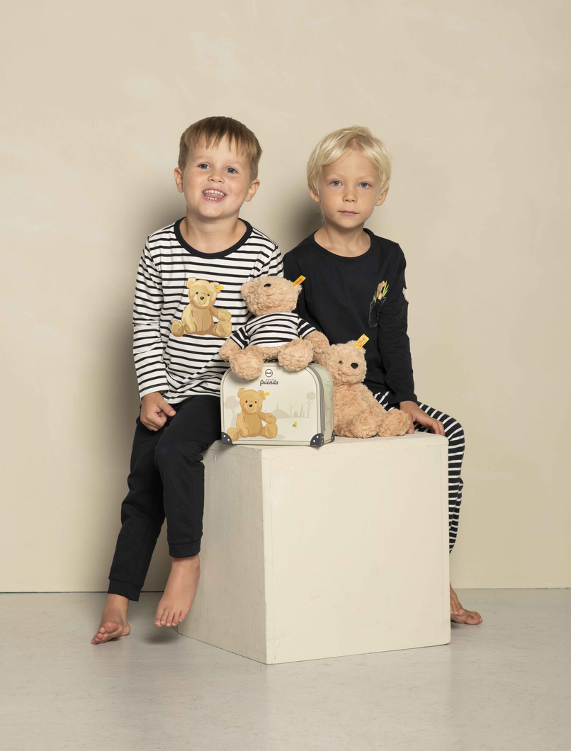 Jimmy Teddy Bear in Suitcase