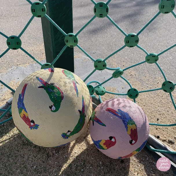 Small Playground Ball -parrots