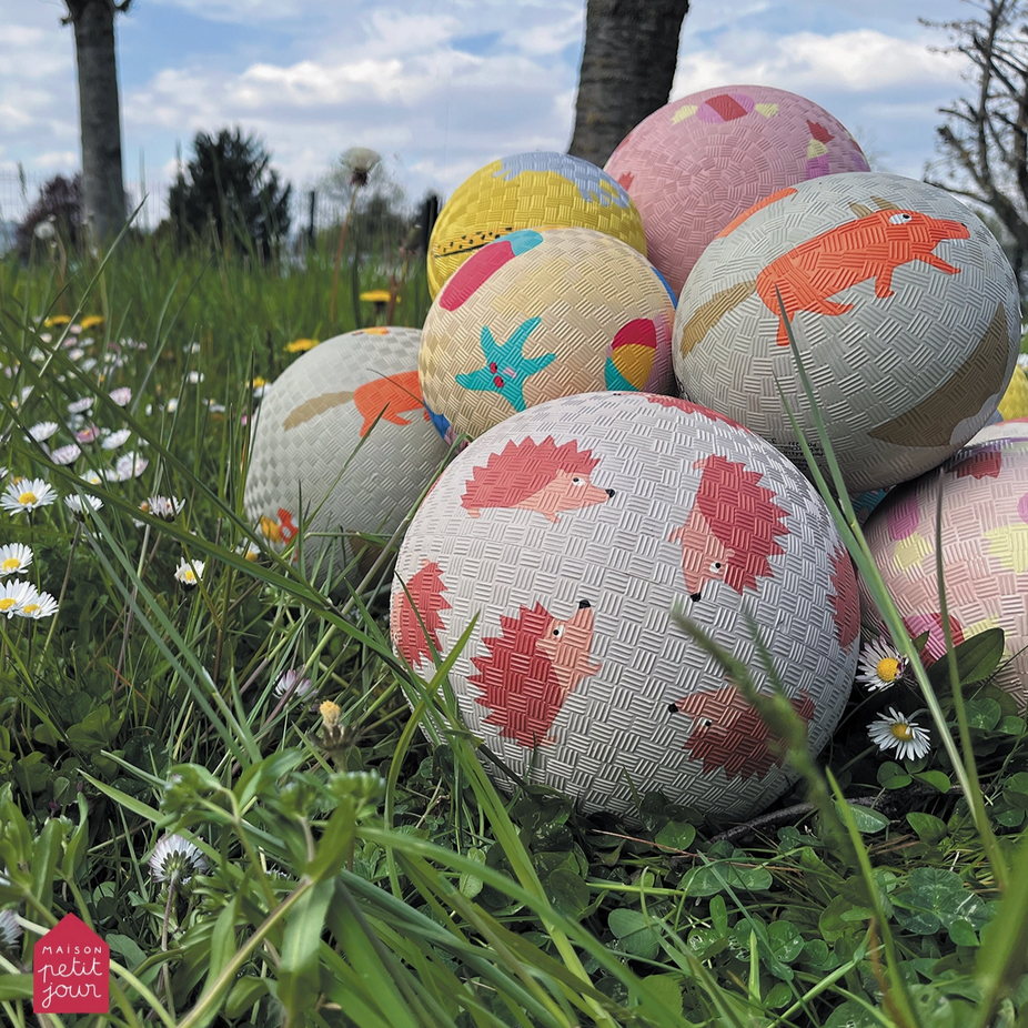 Small Playground Ball -adventure