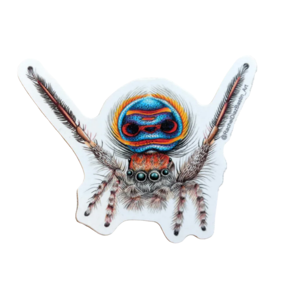 Peacock Spider Sticker