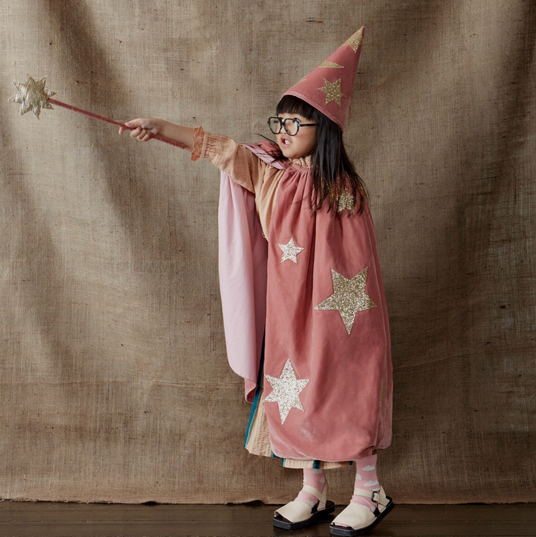 Pink Velvet Wizard Costume