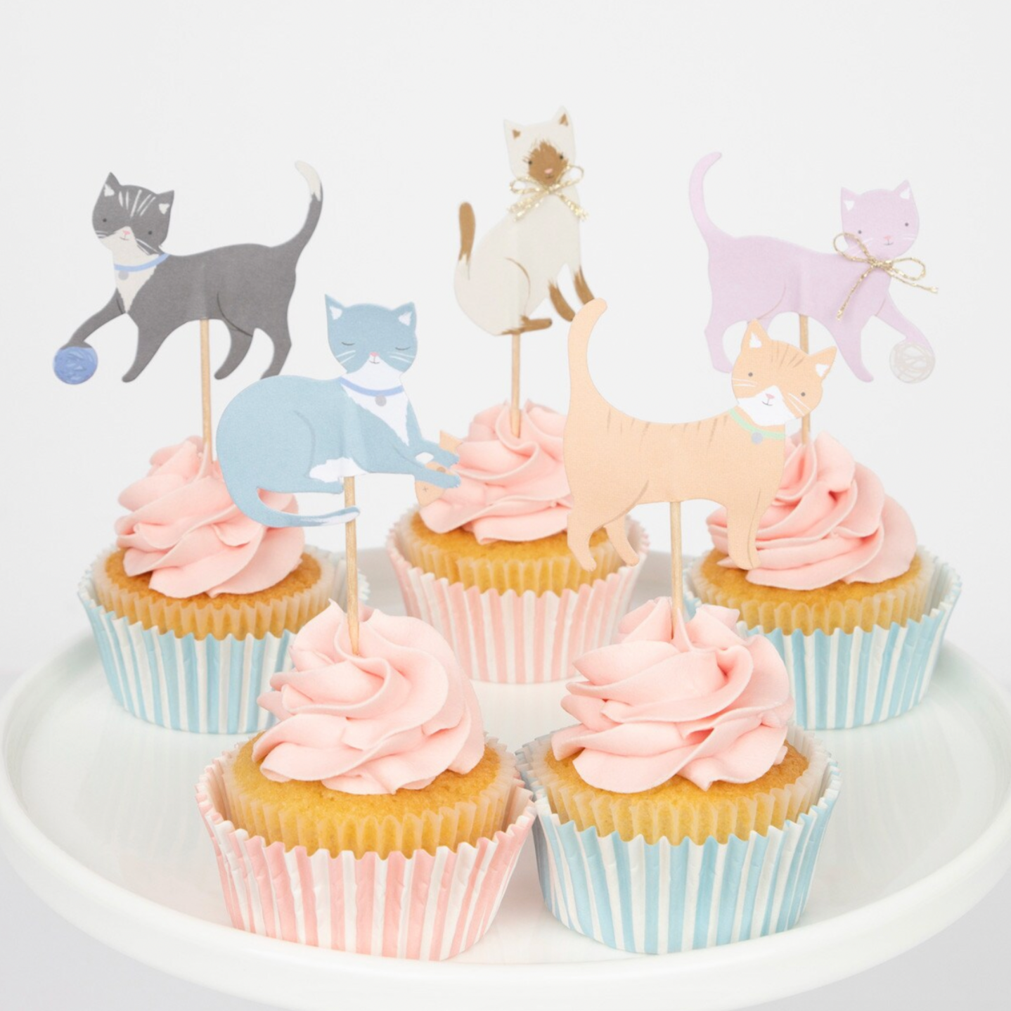 Cute Kittens Cupcake Kit