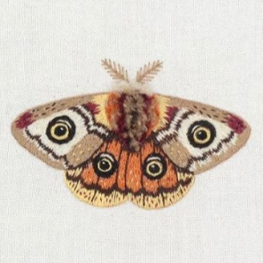 Moth - Embroidery Stitch Sampler