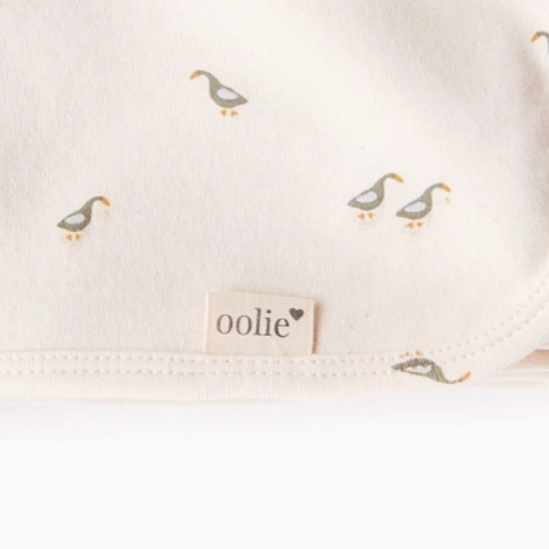 Organic Baby Blanket: Runner Ducks