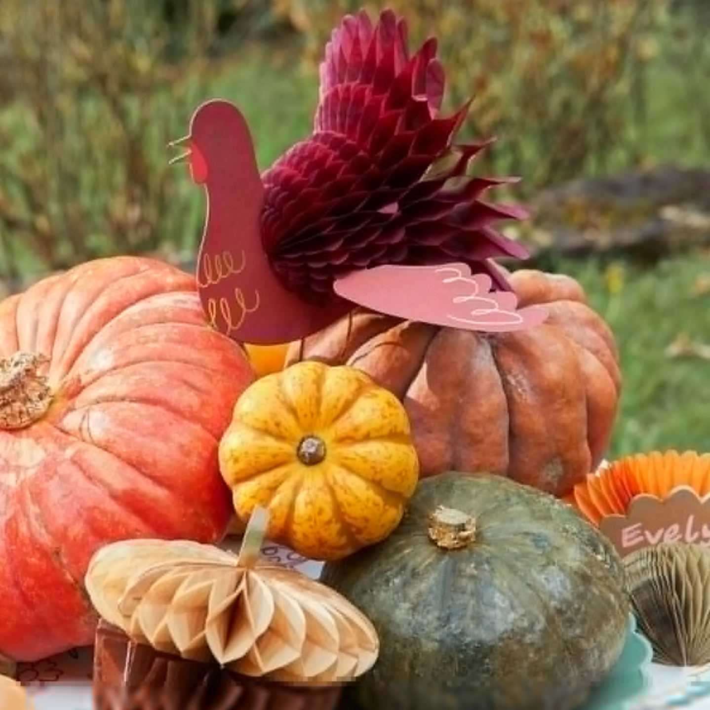 Thanksgiving Decorations