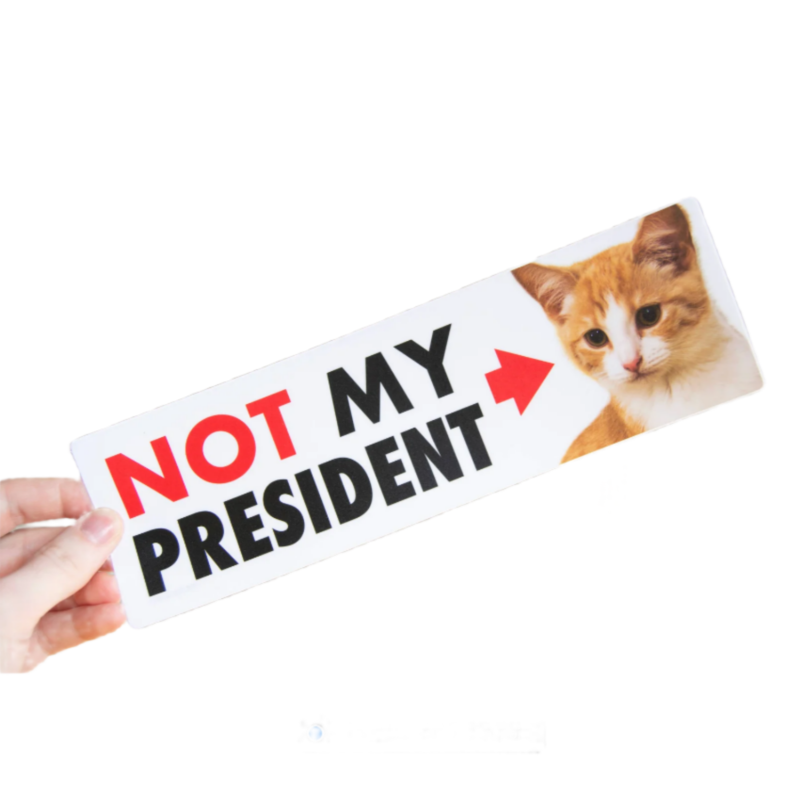 NOT My President (Kitten) - Matte Vinyl 10" Bumper Sticker