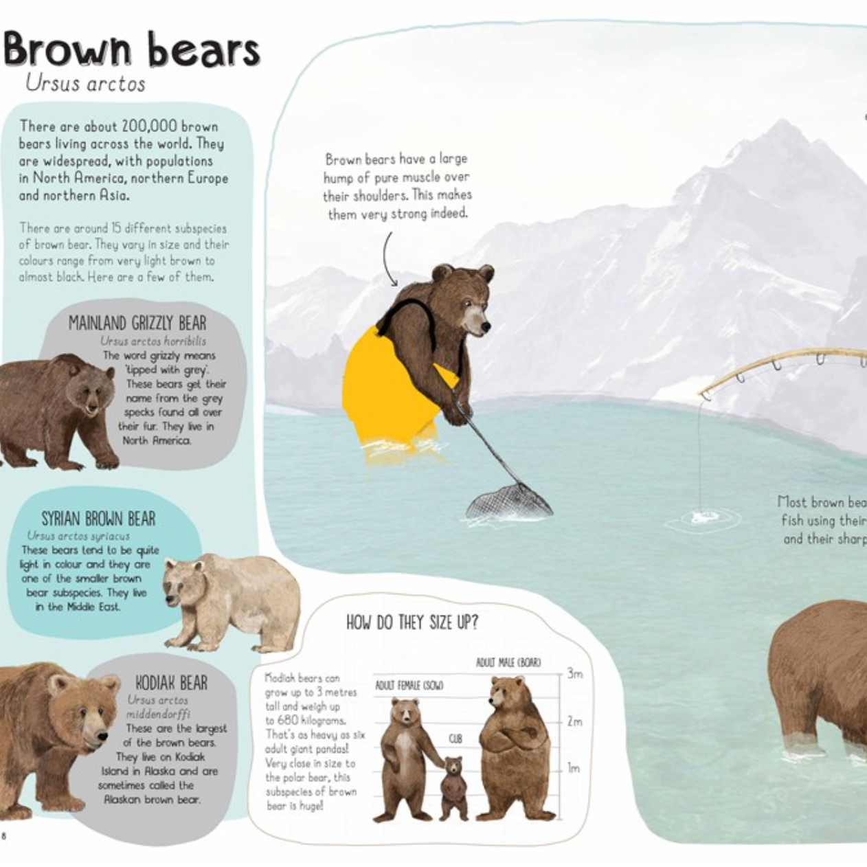 A Book of Bears: At Home with Bears Around the World