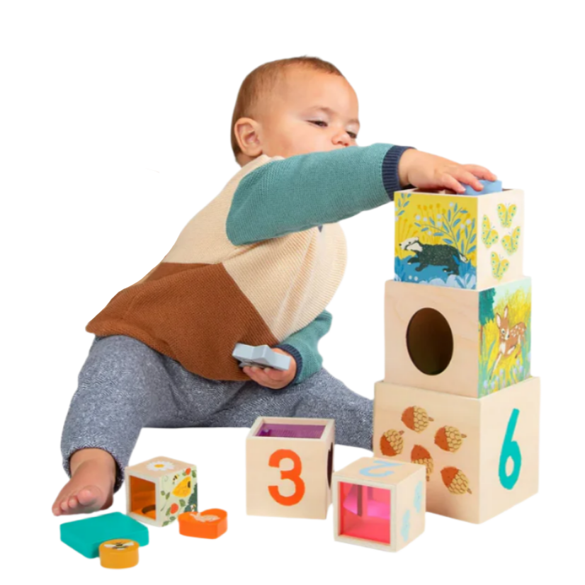 Enchanted Forest Wooden Stacking and Sorting Blocks -Emily Winfield Martin