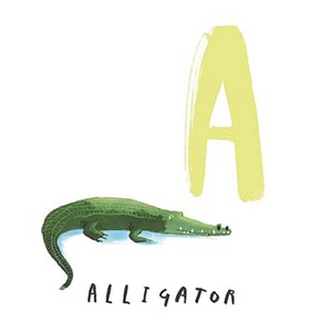 Here We Are: Book of Animals -Oliver Jeffers