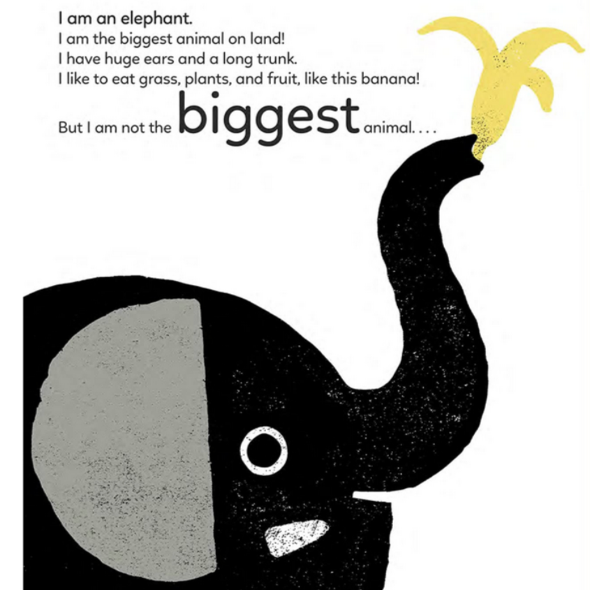 Big, Bigger, Biggest