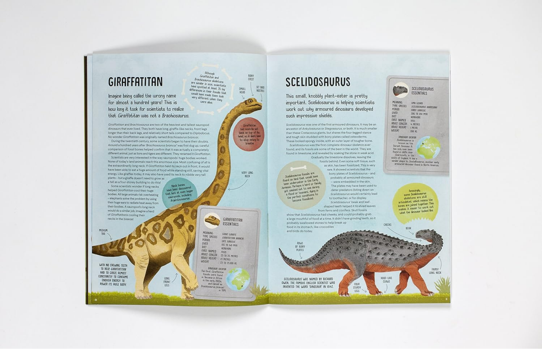 Terrific Timelines: Dinosaurs: Press out, put together, & display!