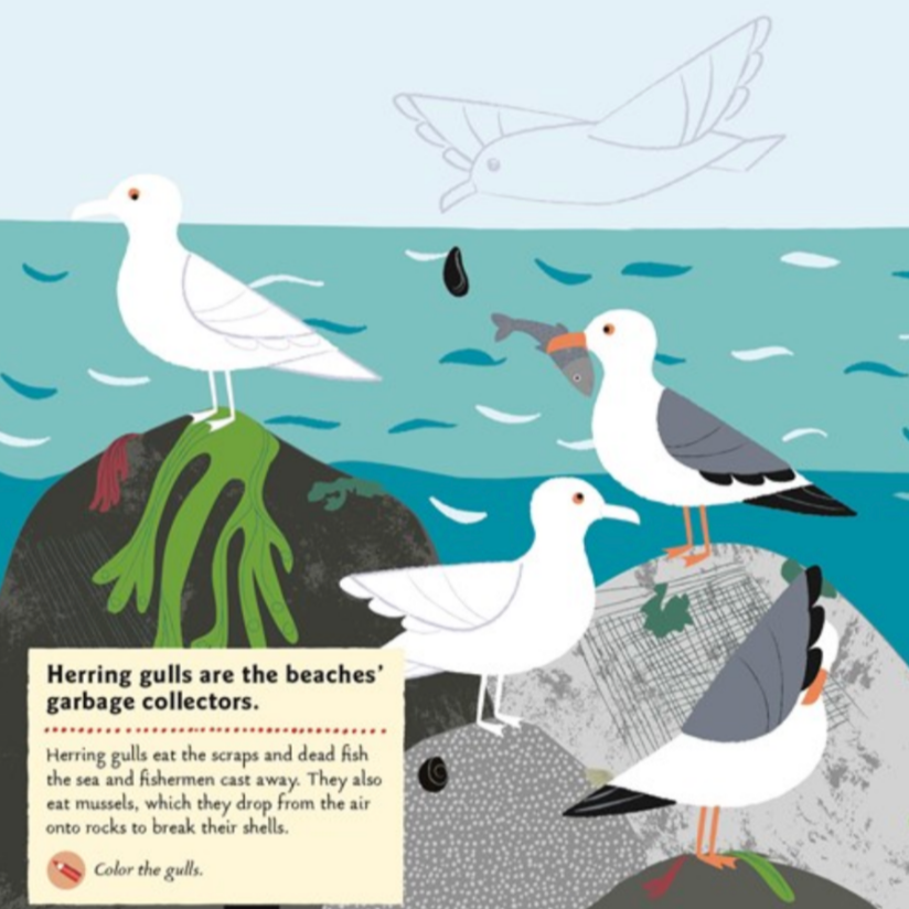 At the Seashore -My Nature Sticker Activity Book