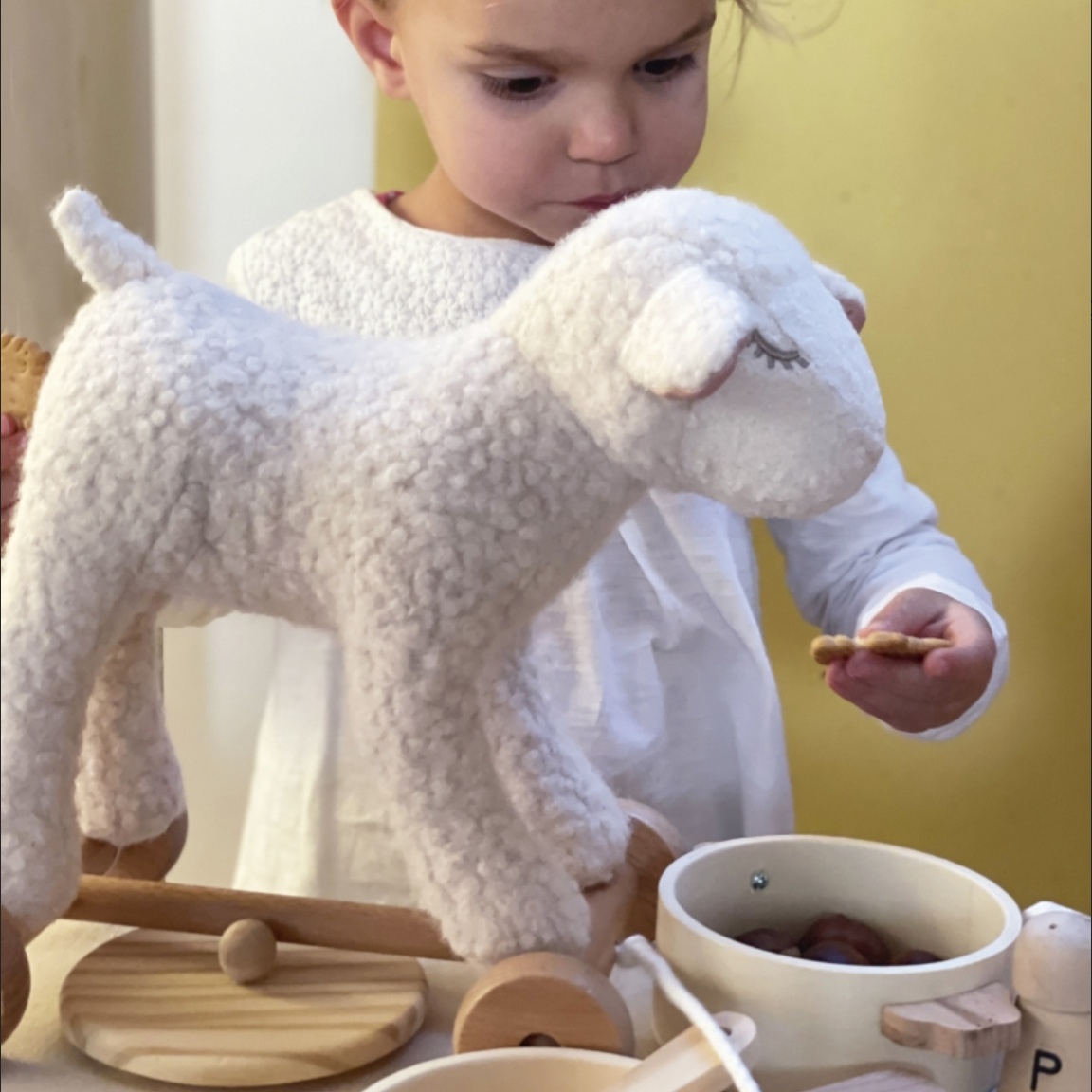 Pull-Along Mary Lamb
