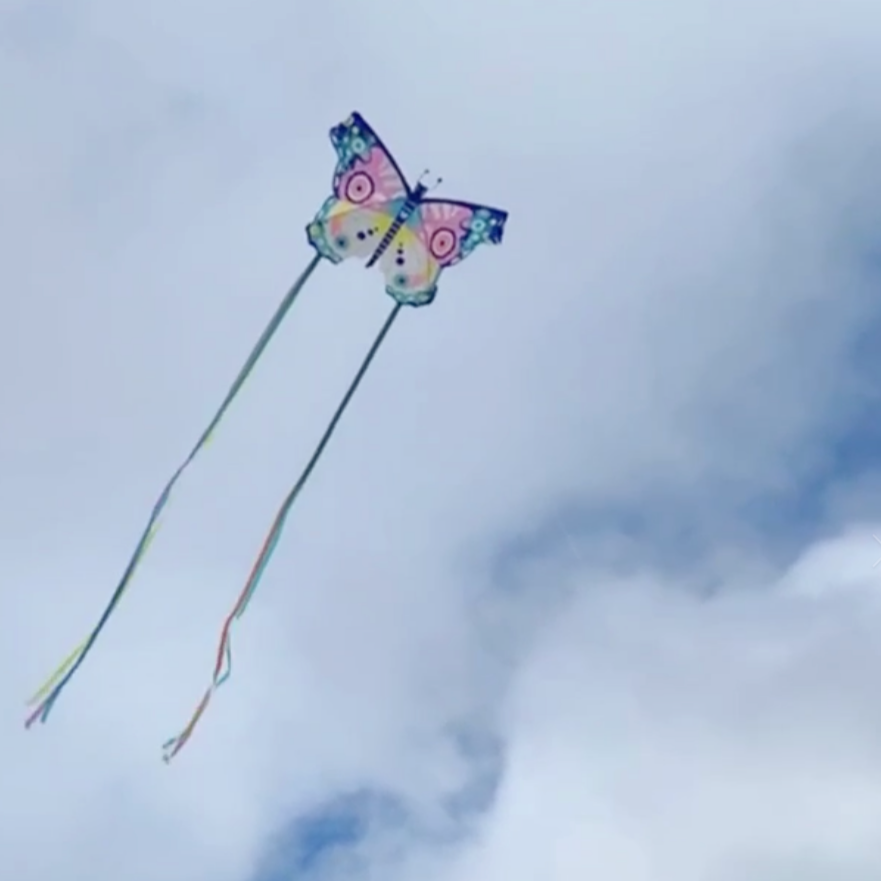 Maxi Butterfly Giant  Kite