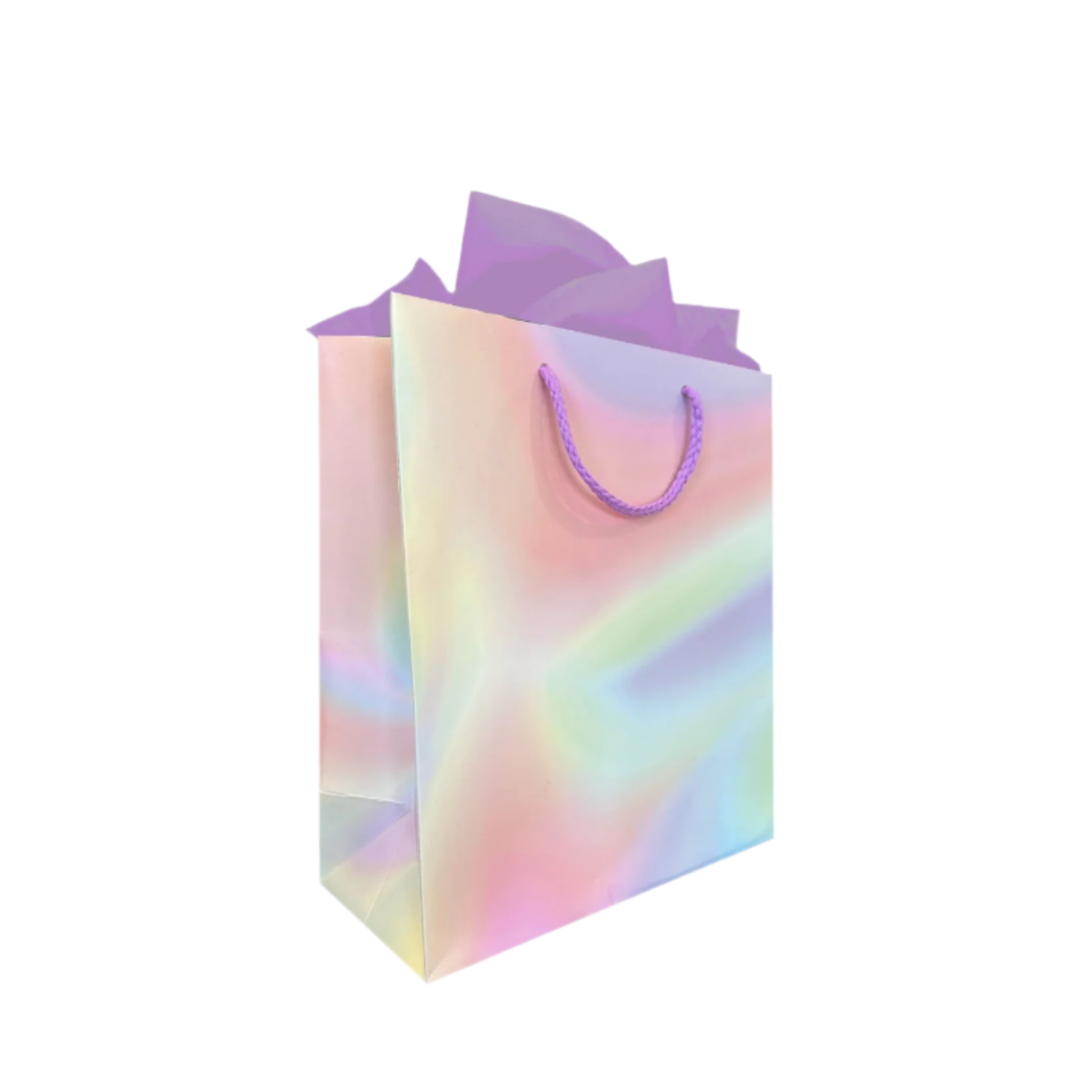 Hologram Gift Bag