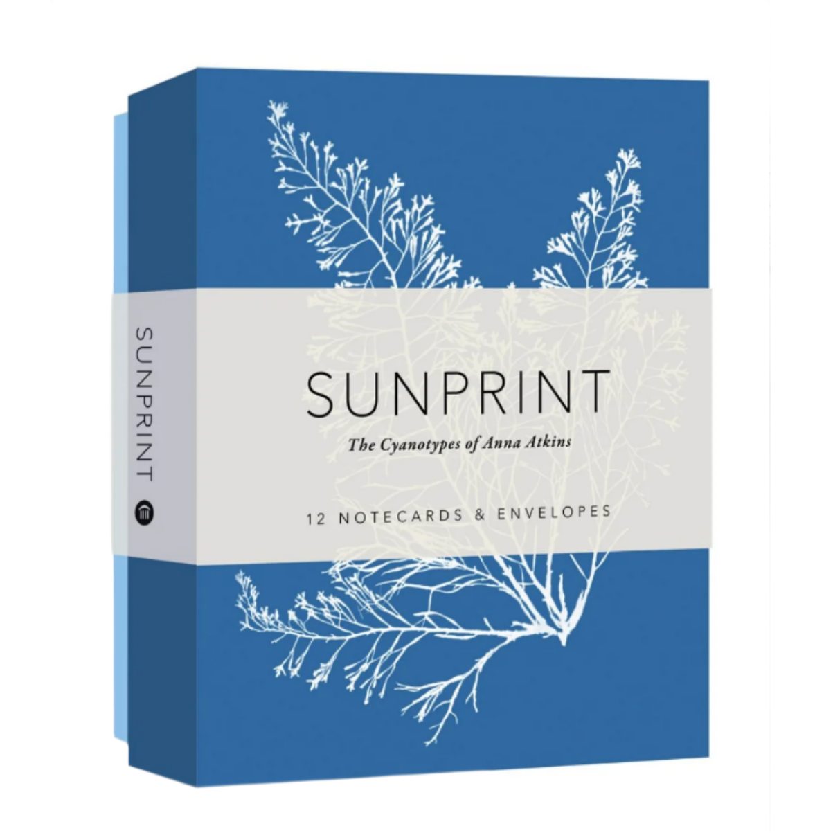 Sunprint Notecards: The Cyanotypes of Anna Atkins