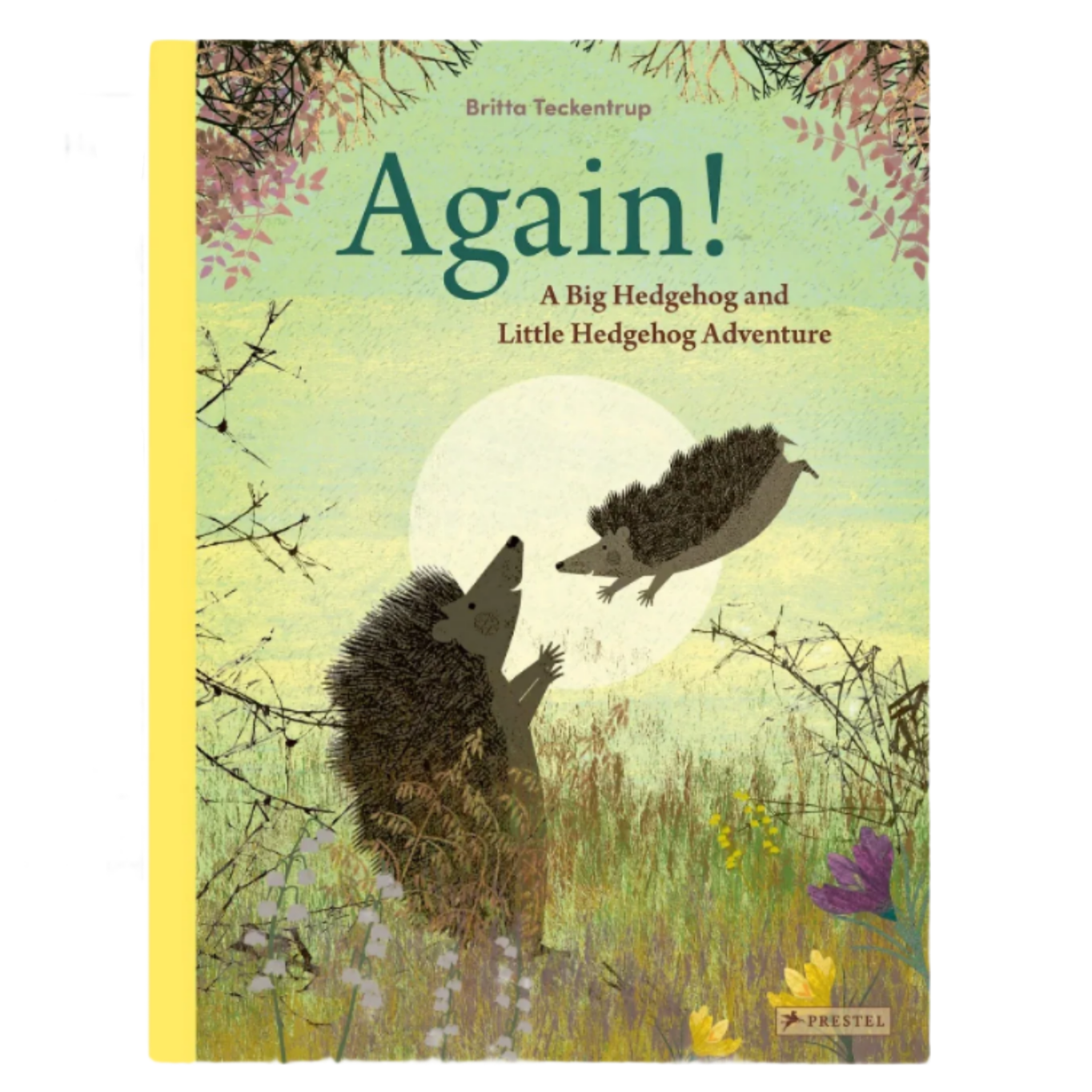 Again!: A Big Hedgehog and Little Hedgehog Adventure