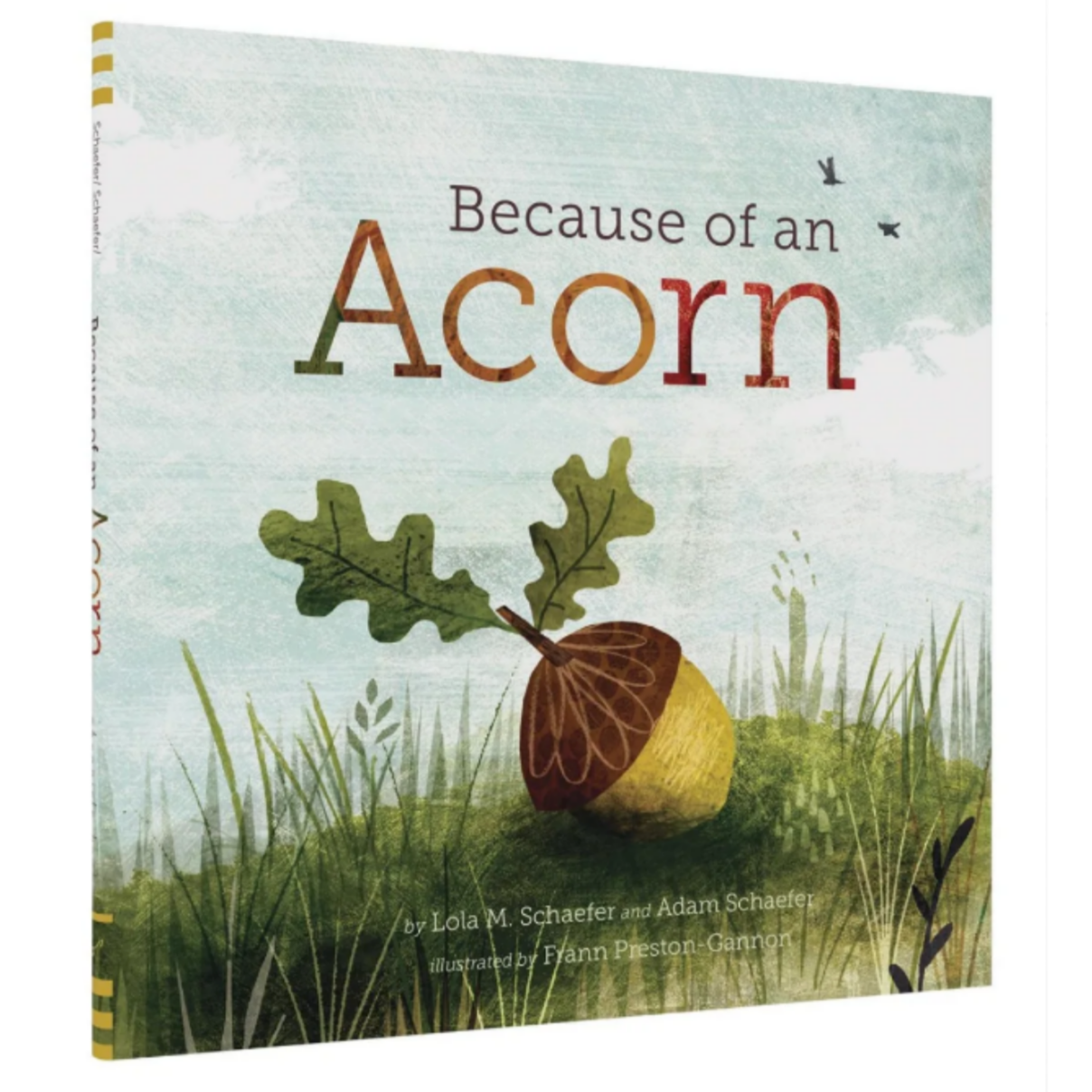 Because of an Acorn