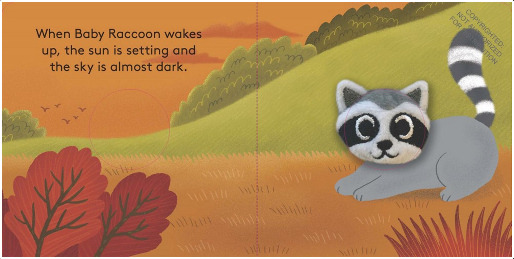 Baby Raccoon: Finger Puppet Book