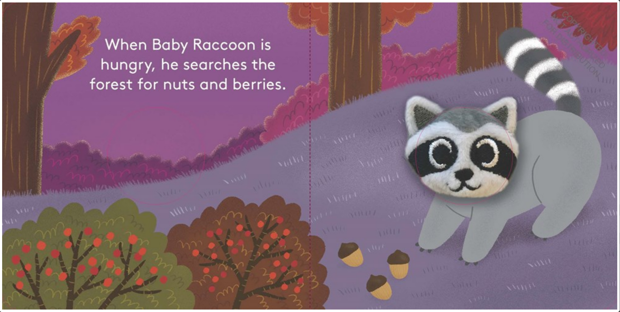 Baby Raccoon: Finger Puppet Book