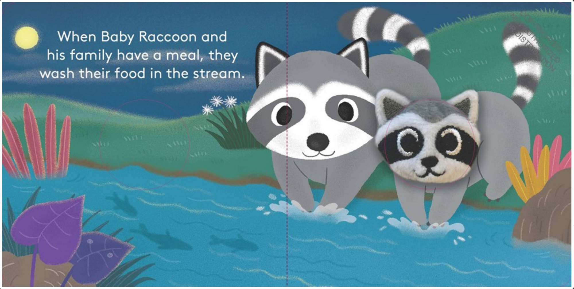 Baby Raccoon: Finger Puppet Book