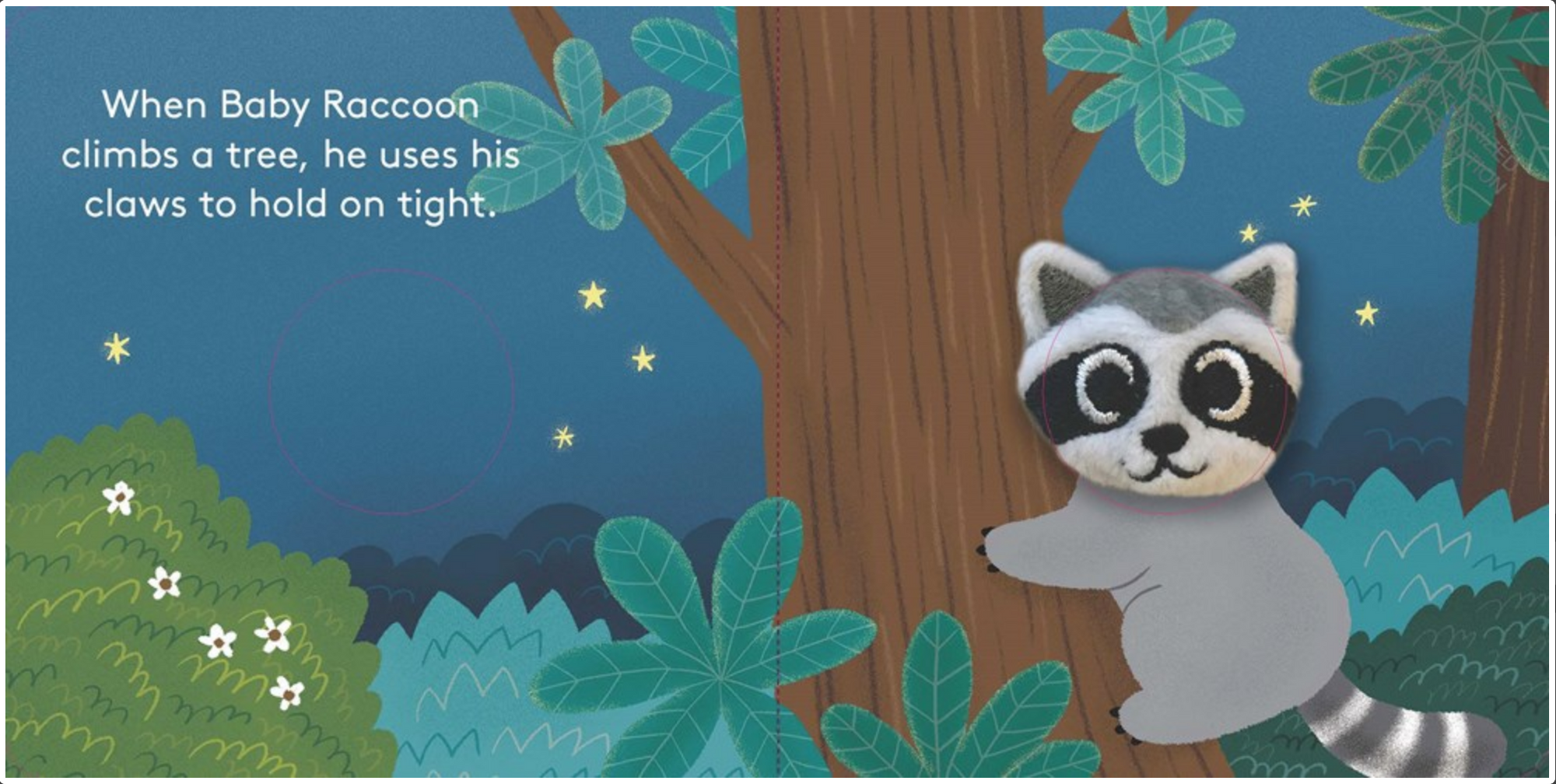 Baby Raccoon: Finger Puppet Book