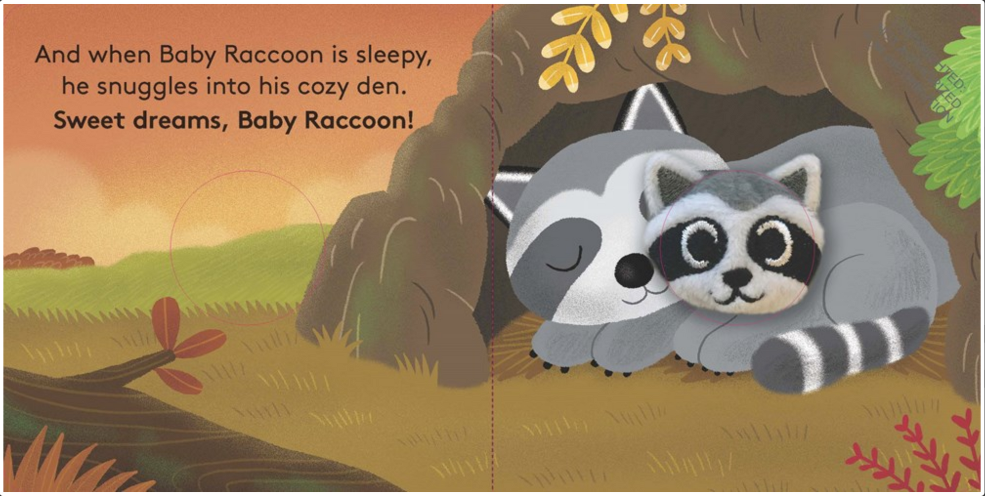 Baby Raccoon: Finger Puppet Book