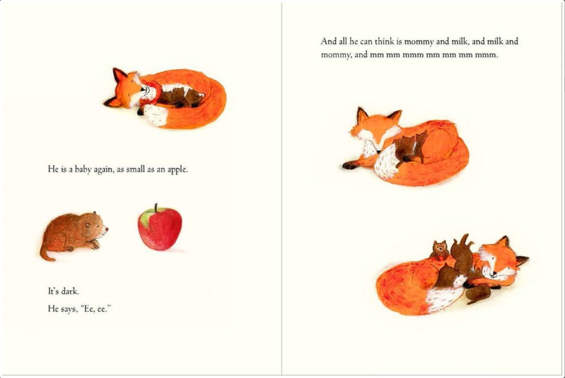 Little Fox